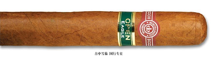 蒙特克里斯托公开鹰
