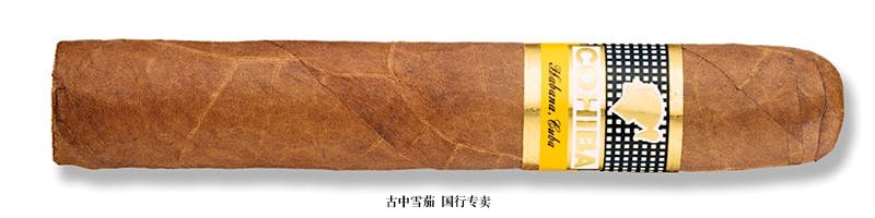 高希霸罗布斯托