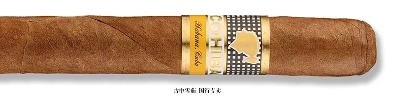 高希霸 Siglo V (Tubo)