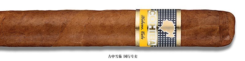 Cohiba Siglo VI（图博）