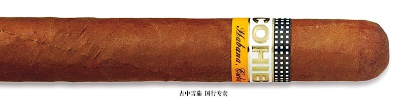 Cohiba Siglo VI（图博）