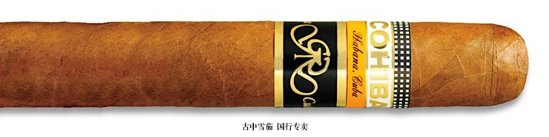 高希霸 Siglo VI 特级珍藏