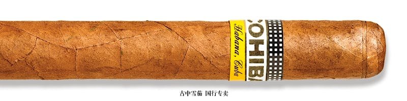 高希霸 Siglo V Tubo