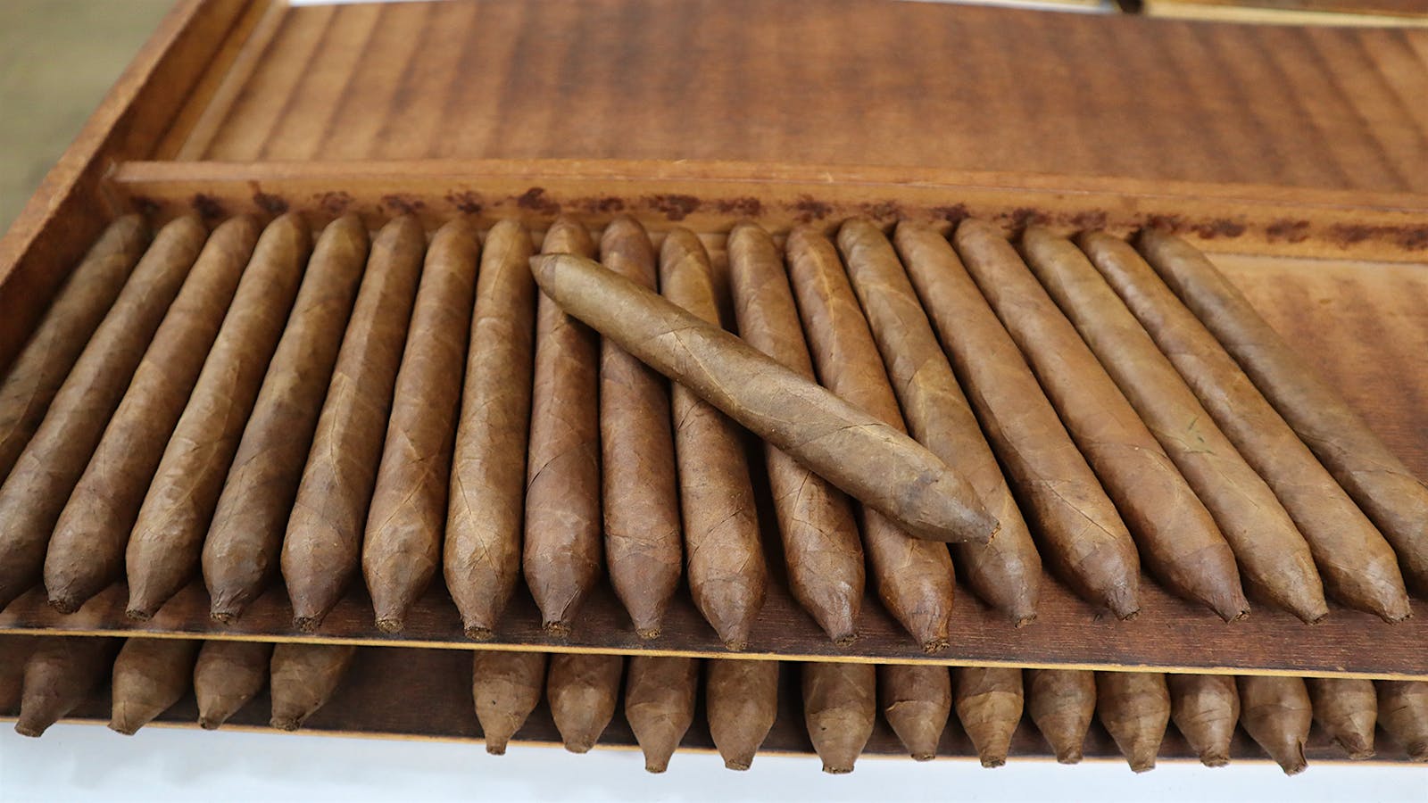Padrón 60th