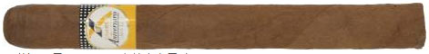 高希霸世纪系列 10 周年保湿箱 Cohiba Siglo X Aniversario Humidor 2002 纪念性发行系列