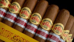 《外交天才》地区版雪茄在古巴首发 Diplomaticos Genios Regional Edition