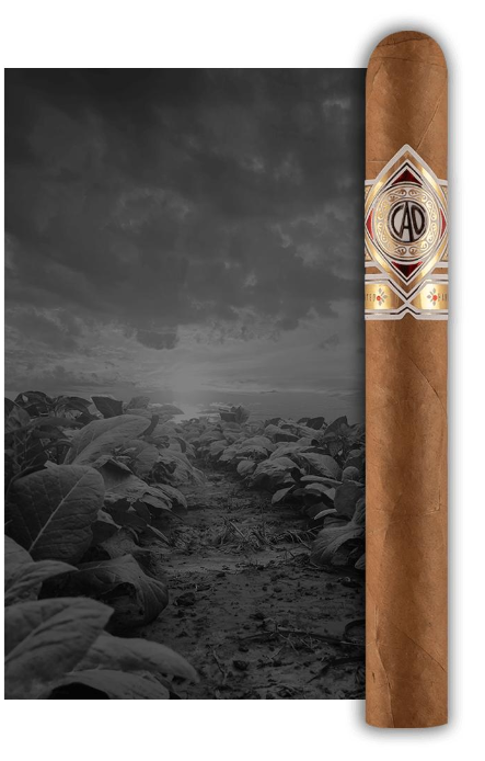 CAO Gold Robusto