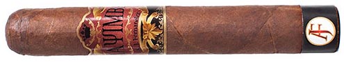 EL MAYIMBE TORO ｜ 埃尔马因贝 托罗