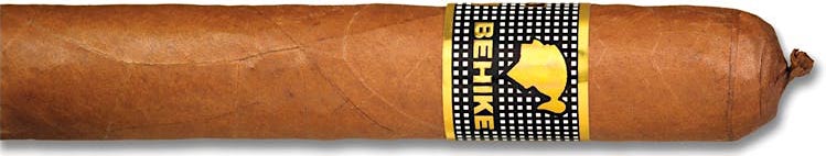 Cohiba Behike BHK 54 ｜ 高希霸贝伊可BHK 54 | CA 2013 No.5