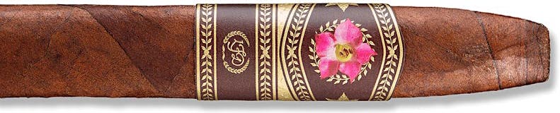 La Flor Dominicana 30 Years Chisel ｜ 多米尼加之花 30年 凿形 | CA 2025 No.13